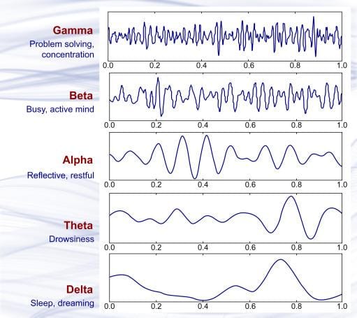 What Frequency Do Humans Vibrate At: Complete Science-Based Guide to Human Resonant Frequencies and Body Vibration