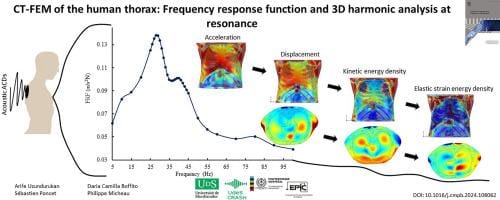 What Frequency Do Humans Vibrate At: Complete Science-Based Guide to Human Resonant Frequencies and Body Vibration