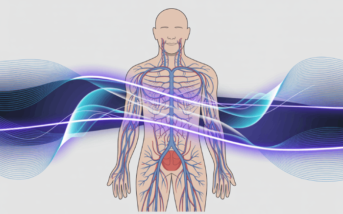 Erectile Disfunction ED Webinar