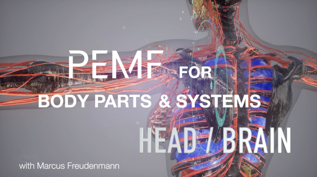 How I treat my Head / Brain with PEMF